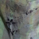 Green eco-printed cotton beach pareo CORFU 6